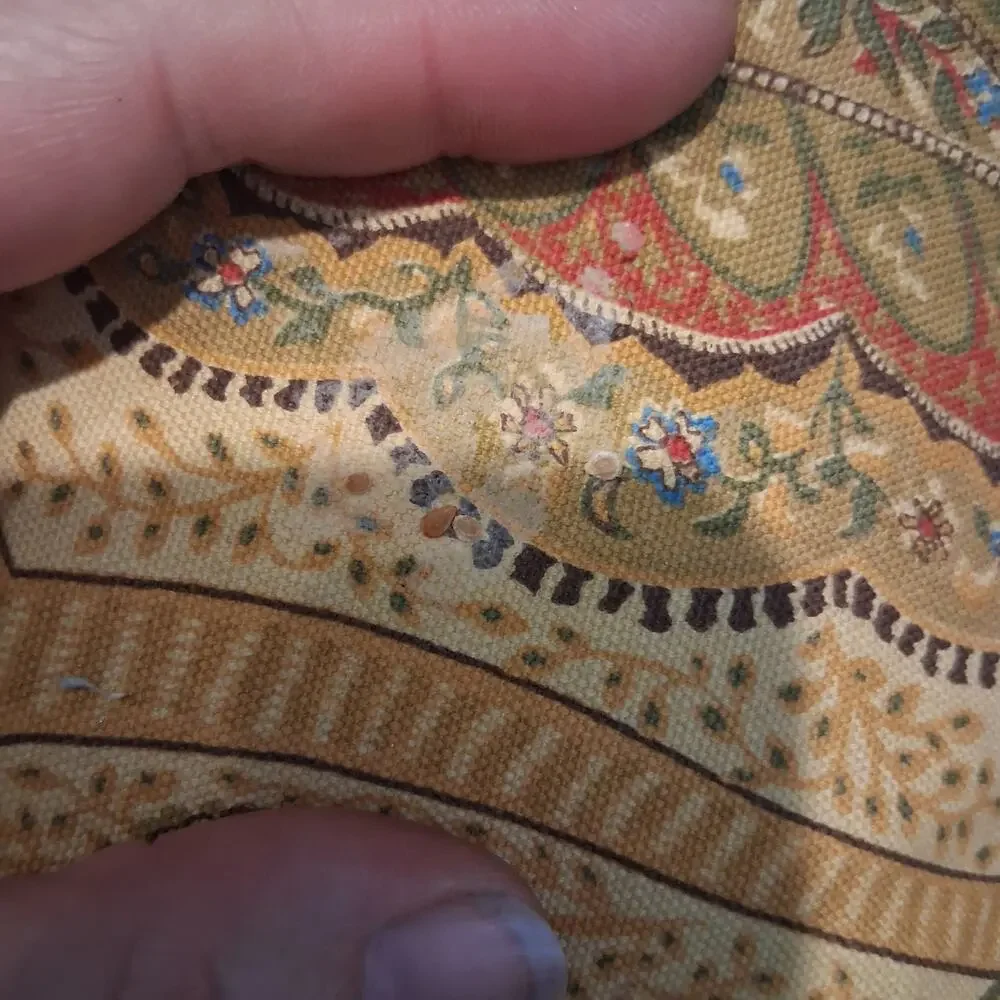 Pottery Barn outlet 4 placemats paisley